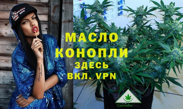крисы Армянск