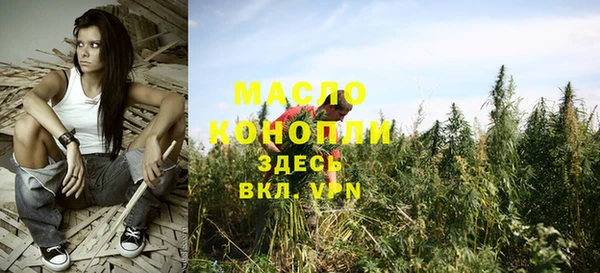 крисы Армянск