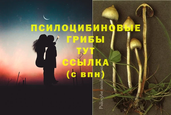 крисы Армянск