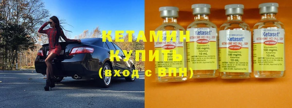 шишки Инта
