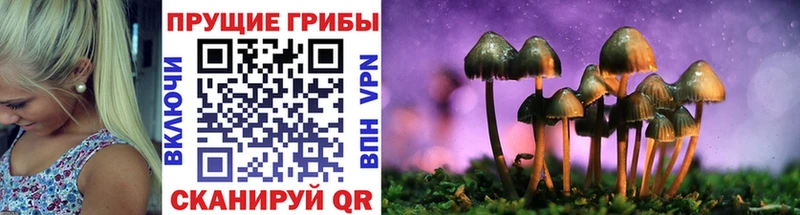 закладка  OMG ONION  Псилоцибиновые грибы ЛСД  Видное 